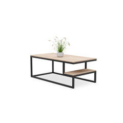 Coffee Table Steel Frame (Small Shelf)